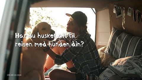 Skal du på ferie med hunden din?