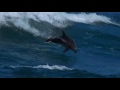 Richard clayderman  blue dolphin
