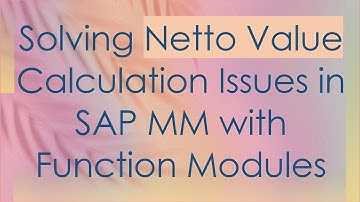 Solving Netto Value Calculation Issues in SAP MM with Function Modules