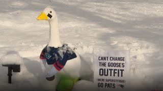 Fans share superstitions ahead of Patriots AFC title matchup against Broncos in Denver