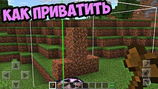 Как Приватить на Сервере в Minecraft Bedrock | Гайд