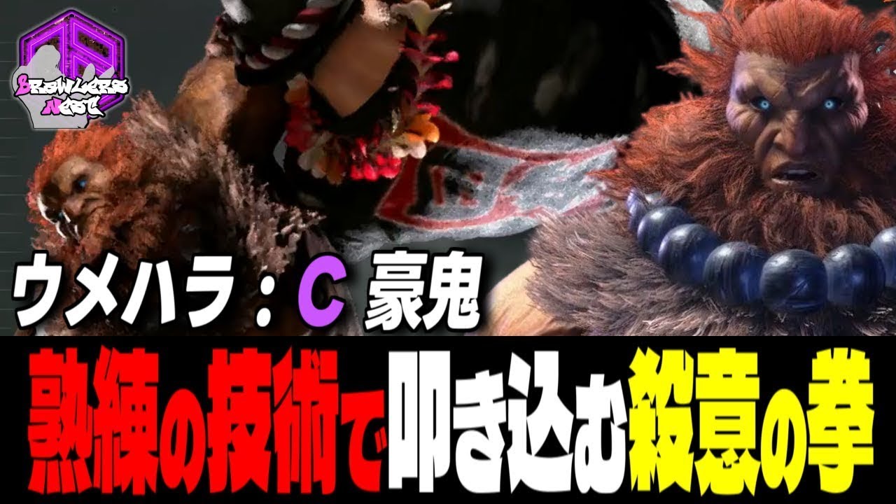 【ウメハラ】熟練の技術で叩き込む殺意の剛拳 ｜ウメハラ (豪鬼) vs E.本田 , マリーザ ,  ブランカ  【 スト6 / SF6】