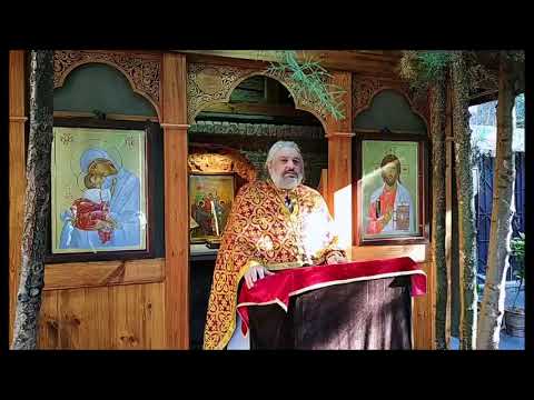 52. სულთმოფენობიდან 29-ე, წმინდა მამამთავართა კვირა - დეკ. ალექსანდრე გალდავა (27/12/20)