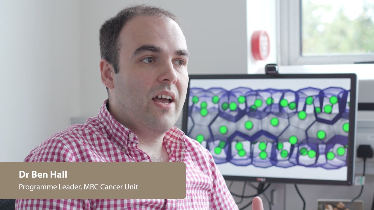 Dr Ben Hall's lab overview