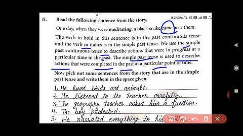 Class-4; English; Lesson-4(Swami Vivekananda);Page-41(Simple Past and Past Continues tense)