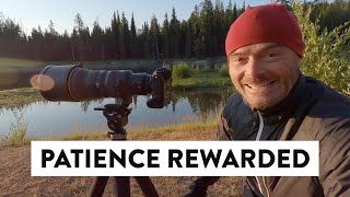 Patience Rewarded Along the Snake River  Wildlife Photography in Grand Teton National Park