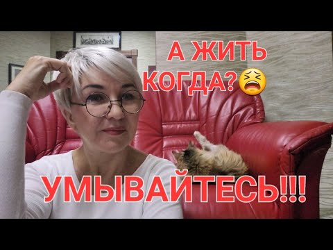 Посиделки с кошкой😳 То пандемия, то война.... А жить когда? Как не стыдно! 😱