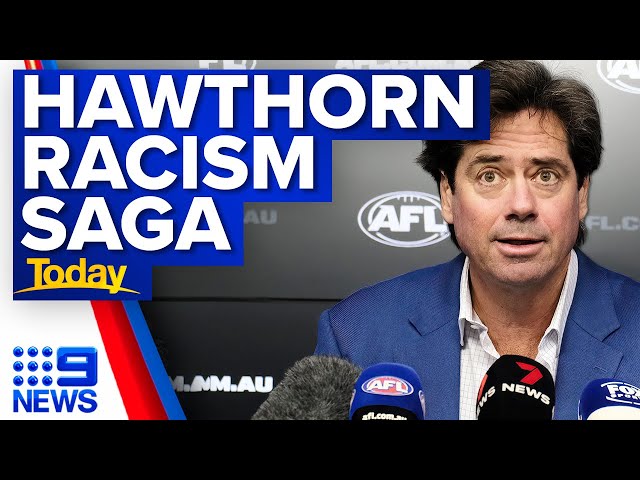 Investigation into allegations of racism at Hawthorn Football club ends | 9 News Australia