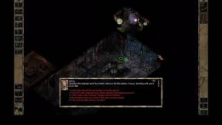 Baldur's Gate ZEND Ep 17 - Imported to BG2