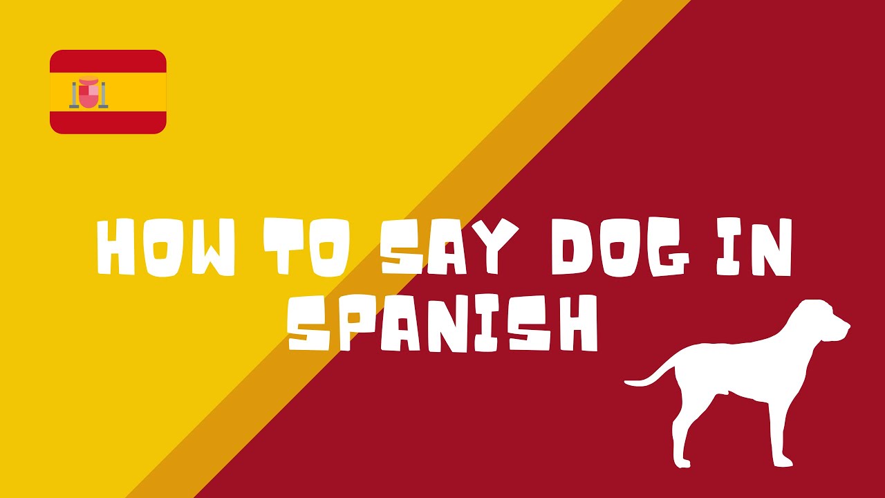 What Do Spanish Dogs Say