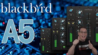 Black Bird Studios | API Channel Strip | KIT BBA5