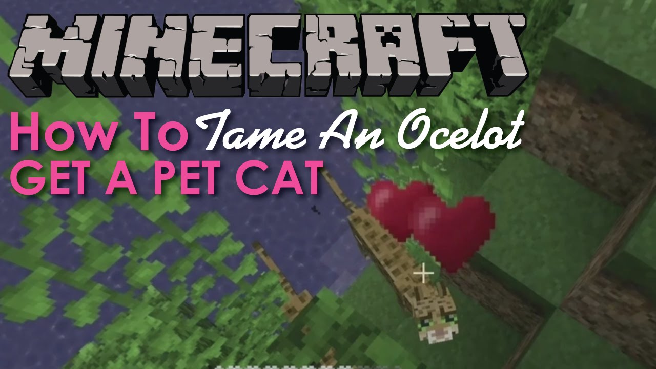 How to tame an Ocelot in Minecraft - YouTube