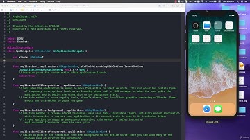 Setting Up Our Application in appDelegate.swift without storyboards