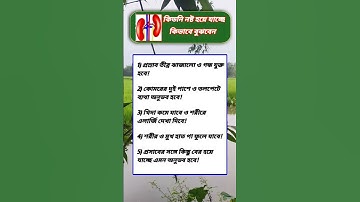 general knowledge || quiz | spinal cord I part-78