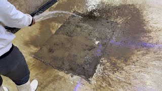 Full Of Slime and Muck! - Satisfying Videos - Carpet Cleaning Satisfying ASMR