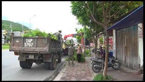 Thành phố ra quân cắt tỉa cây xanh đảm bảo TT - ATGT