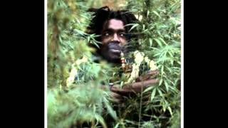Peter Tosh -Nobody's Business chords