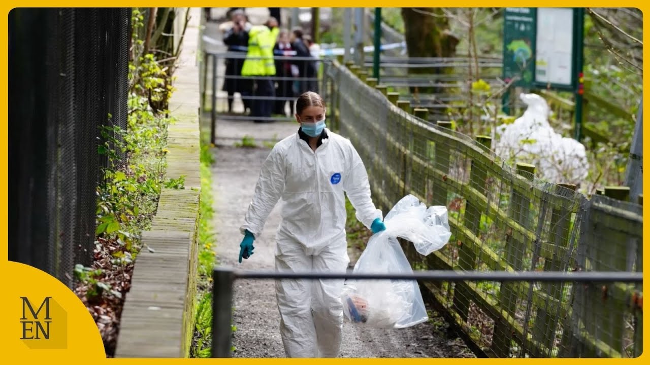 Police issue update after human remains found in Salford - YouTube