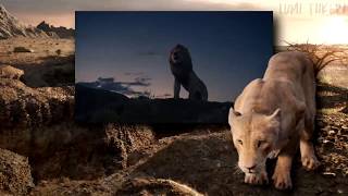The Lion King 2019 - Spirit Flemish Blu-Ray Version Hd