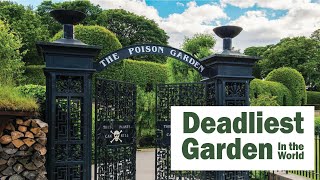 Poisonous garden | World deadliest garden | Alnwick garden