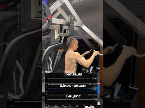 Широчайшие и миограф.За персональным планом обращаться в телеграм:@TrainerSmirnoVV