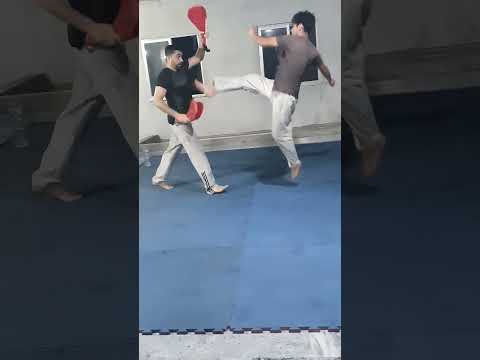 Taekwondo speed training