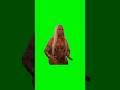 Beyoncé at the Grammys | Green Screen #beyonce #thegrammys #grammys #beyoncé #shocked #surprise