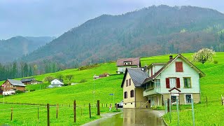 🇨🇭Driving In Switzerland Countryside _ Cloudy Spring View of Swiss