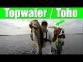 Topwater Bass Fishing at Lake Toho 2019 | Kissimmee, FL