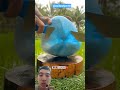 sc:@azibrahim18. kelapa warna biru🥥🔵