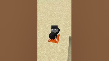 Cosas ÚNICAS de Minecraft JAVA