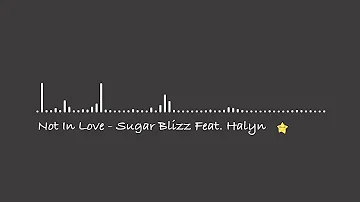 Not In Love  - Sugar Blizz Feat. Halyn 【2010s Pop/Dreamy】