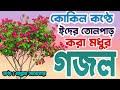 Bangla gojol       new bangla gazal 2024 ghazal gojol islamic gazal bangla gazal