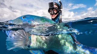 Why I LOVE spearfishing my hometown of Brisbane, Australia... HUGE biomass of fish