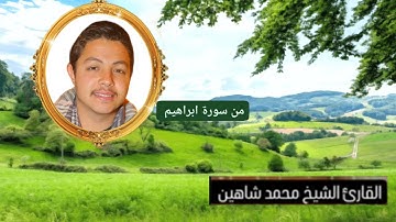 القارئ الشيخ محمد شاهين محمد المنياوي من سورة ابراهيم