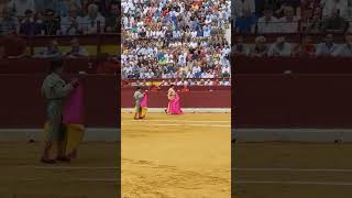 Corrida Plaza de toros Murcia España #shorts #corridos