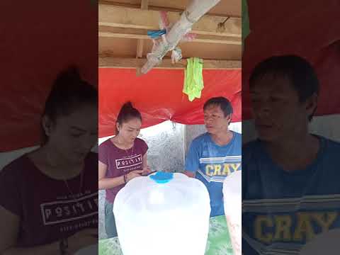 gandang bikolana:tindira ng