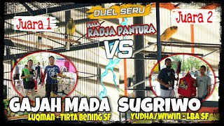 PIALA RADJA PANTURA | Duel Seru Kenari GAJAH MADA VS SUGRIWO