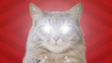 YOUR CAT IS CONTROLLING YOU! | BRITLAB