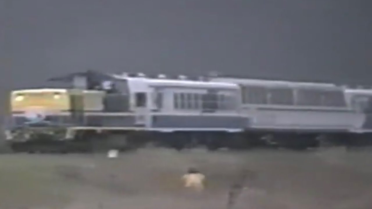 樽見鉄道 1992年 桜ダイヤ JR直通快速14系ナイスホリデー淡墨桜5連 う