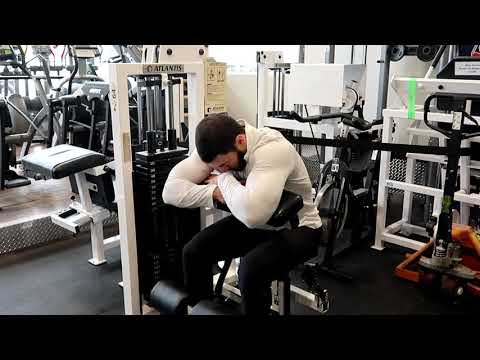 Seated Ab Crunch Machine