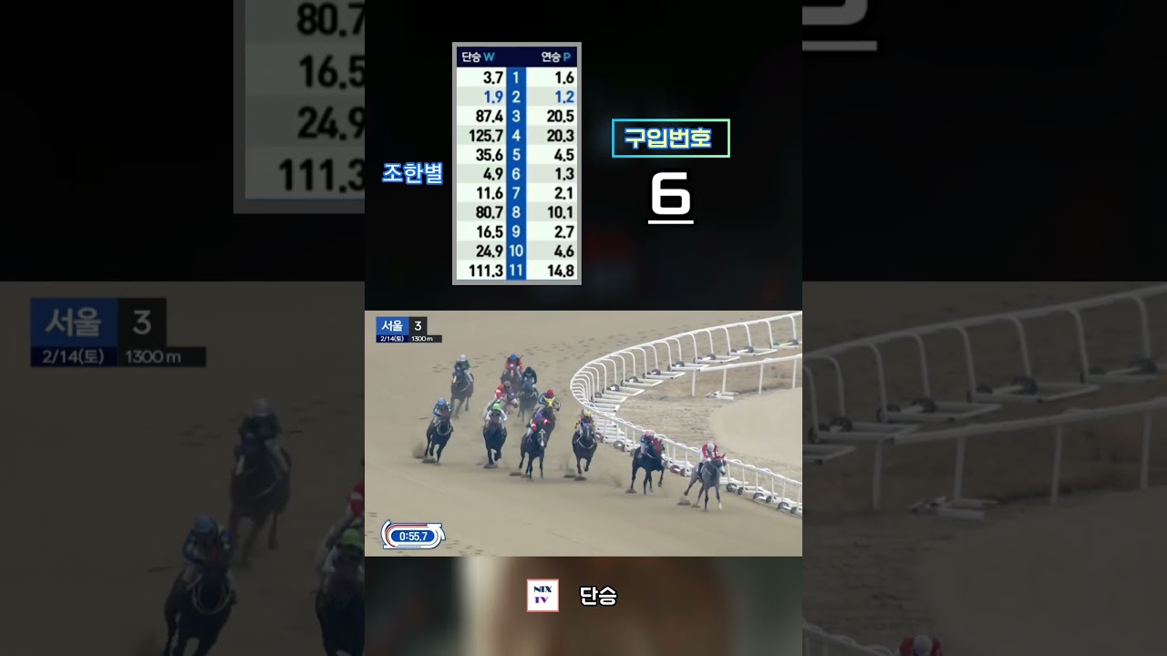 [경마] 서울경마장 이전 반대 !
