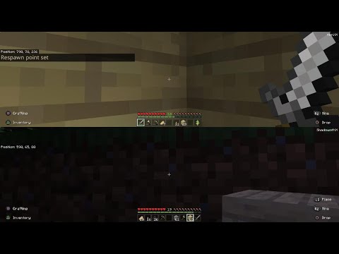 Rare pink sheep FIND Minecraft split -screen PS5