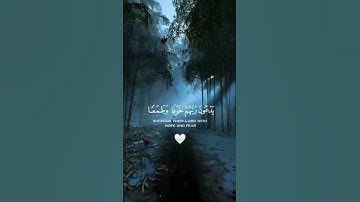 نَتَجَافَى جُنُوبُهُمْ عَن الْمَضَاجِعِ يَدْعُون رَبَّهُمْ خَوْفًا وَطَمَعًا#راحة_نفسية#سورة السجدة🤍