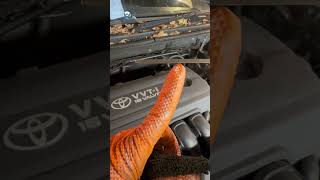 How to Check Engine Oil Level on Toyota Avensis 2003–2008 | Dipstick Guide
