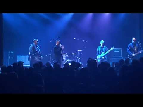 Electric six live