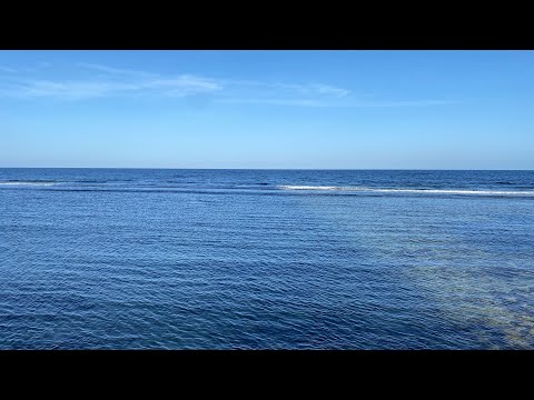 🔵Relaxing Ocean  #asmr #beach #peacefulwaves #relaxingsounds #oceansounds #asmrsounds