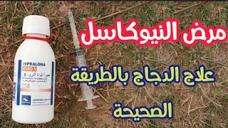 مرض الدجاج نيوكاسل والوقاية منه