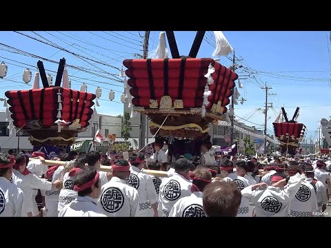 太鼓台 令和7年 貝塚宮太鼓台祭 宵宮 Taikodai Matsuri2025/07/19 - YouTube