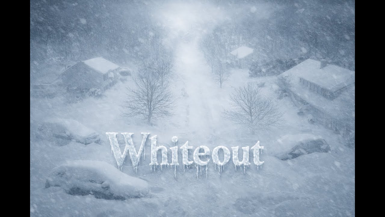 The morning after the blizzard of 2026 - YouTube